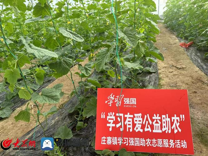 助农产品公益宣传语