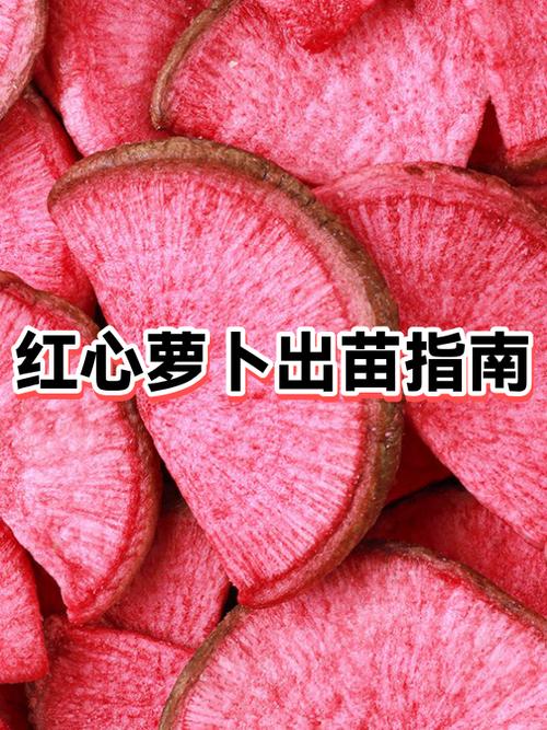 我的世界红心容器怎么用截图