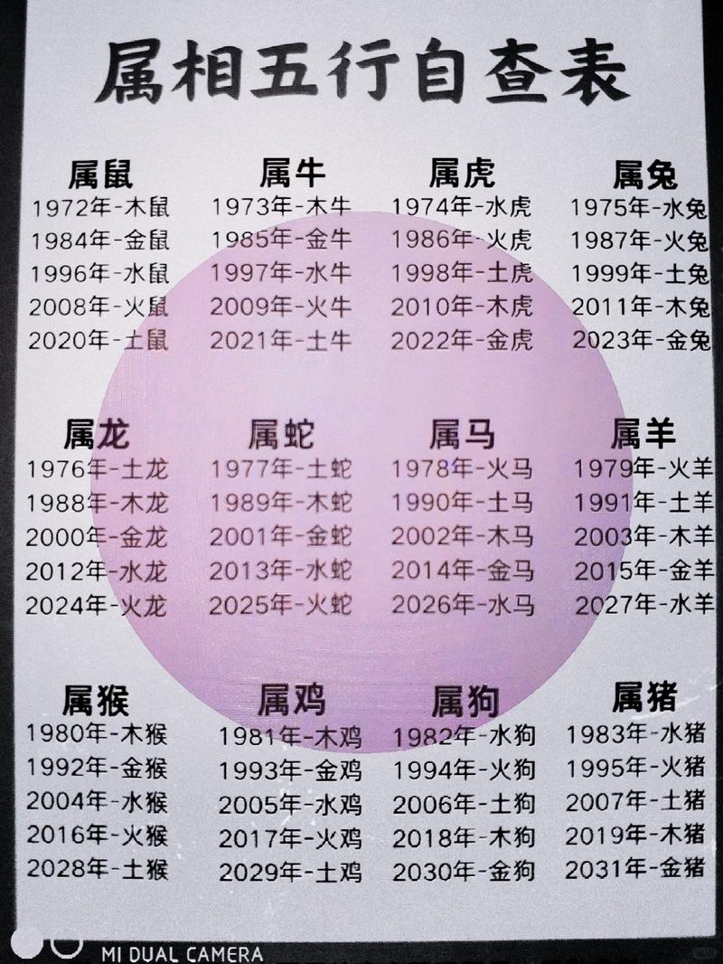 一九六五年属什么生肖截图