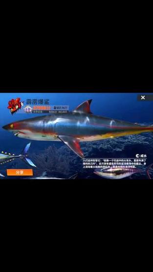 mc钓鱼怎么样才是钓到了鱼截图