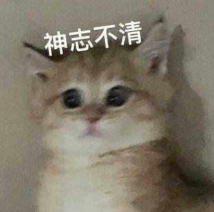 喵呜漫画(喵上复活)