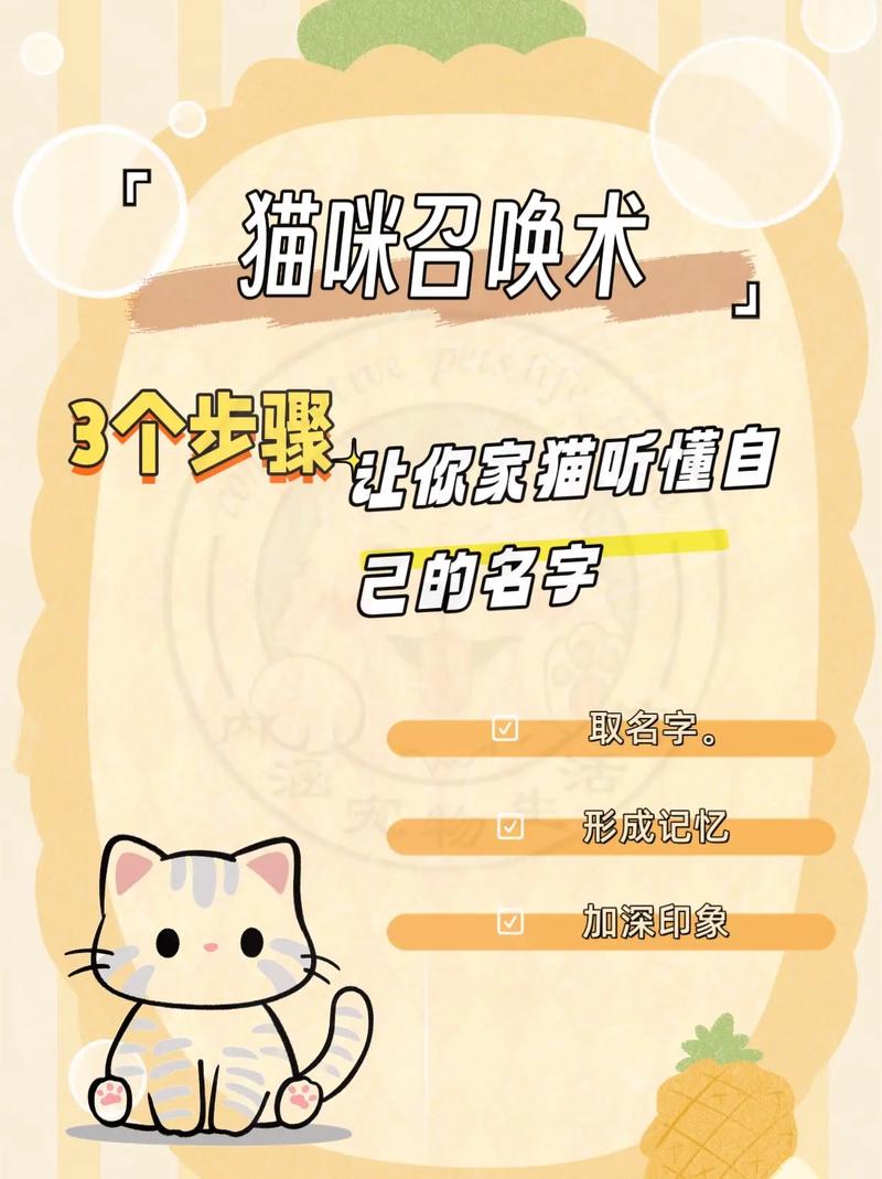 暴喵永久改名叫什么了缩略图