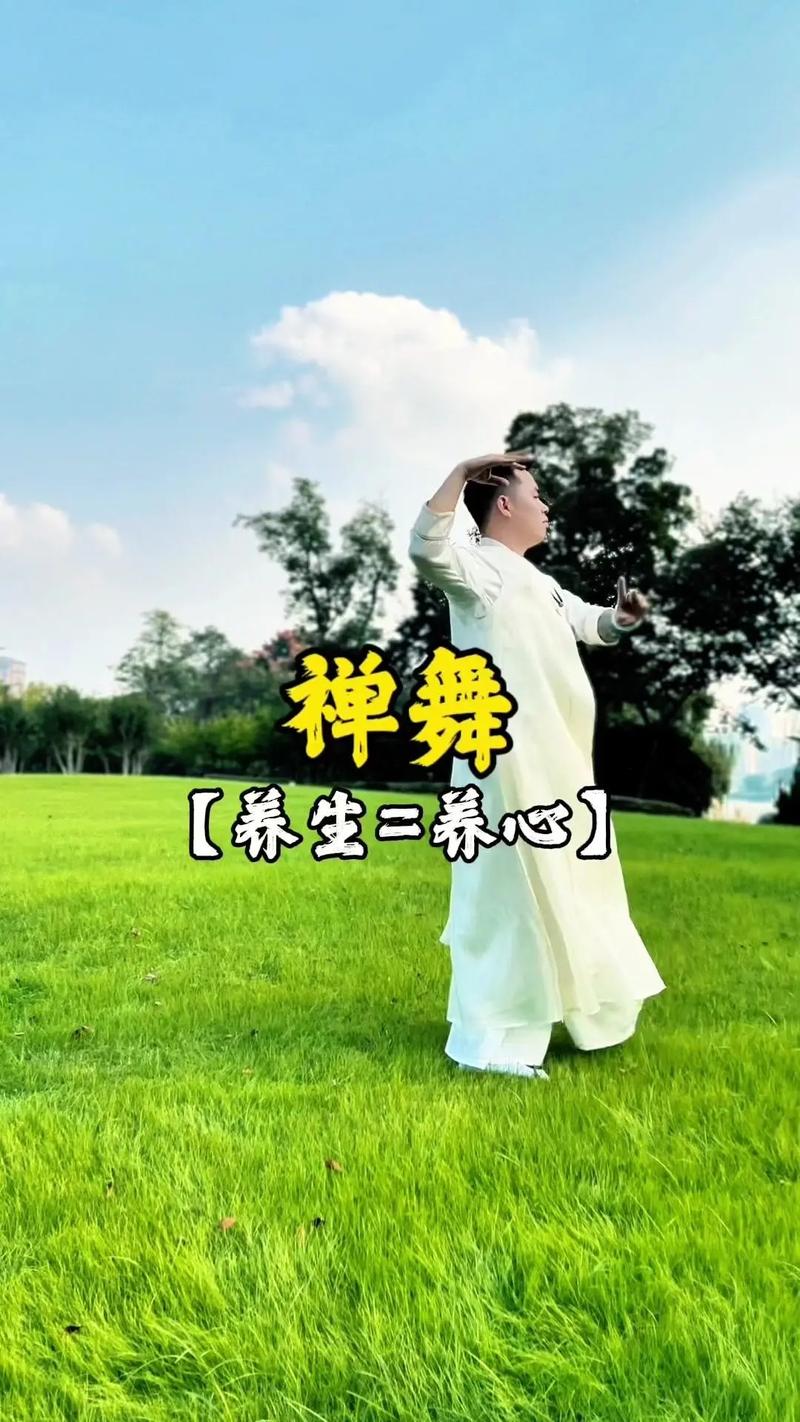 50岁零基础学什么舞蹈游戏截图