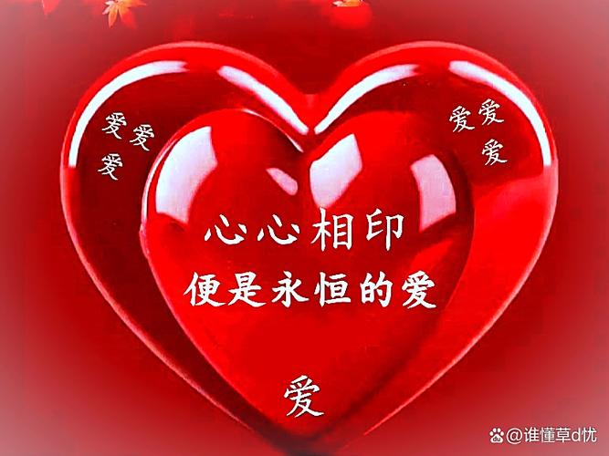 曹慧爱不爱简沛然图标