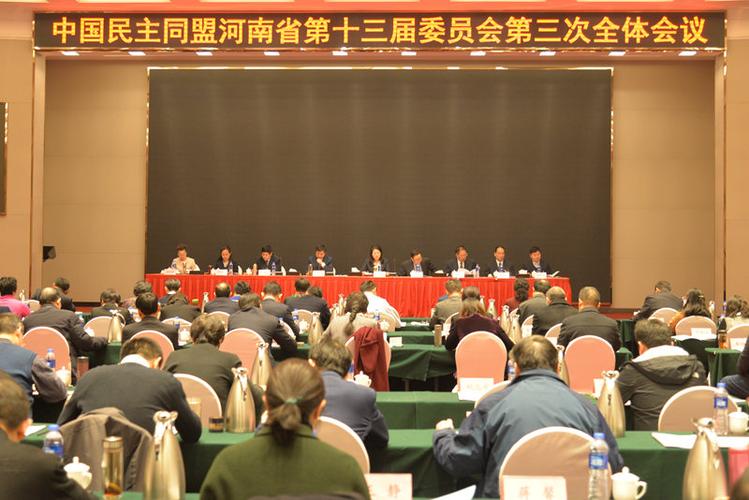 民盟副主席是什么级别缩略图
