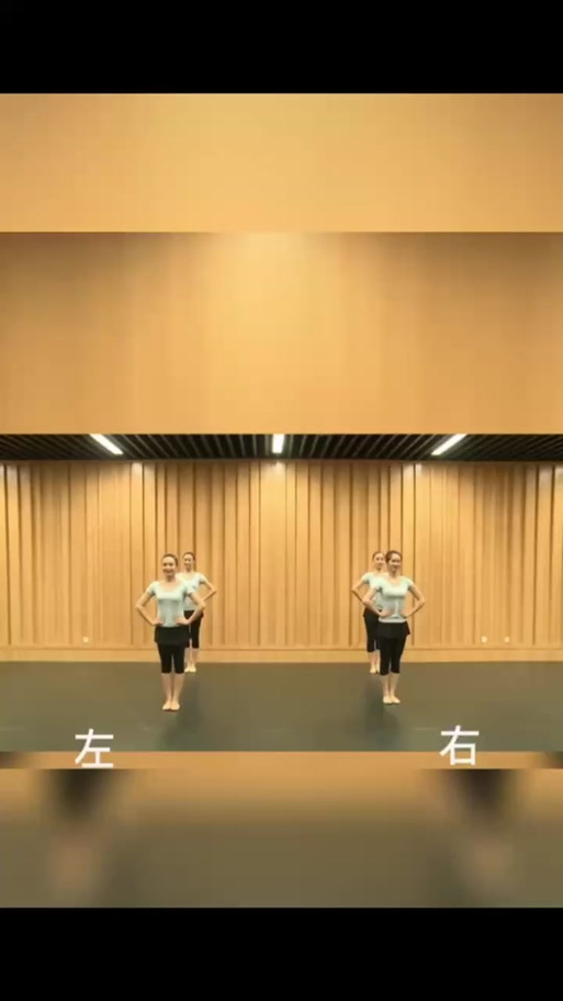 是这个静跳舞视频