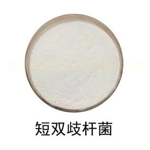 短视频收益