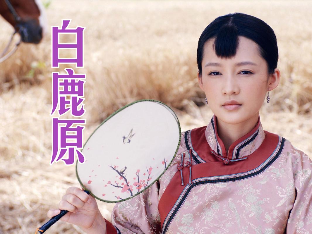白鹿原小说经典评价