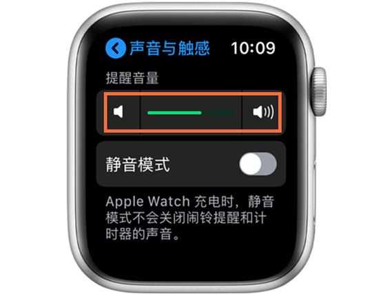 苹果手表怎么调节音量