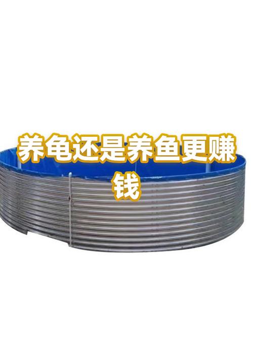 甲鱼会咬锦鲤吗图标