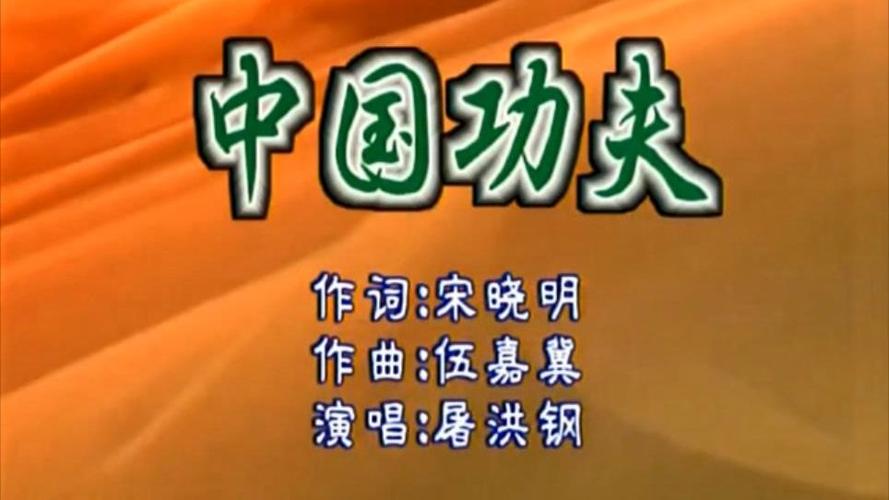 中国功夫视频屠洪刚图标