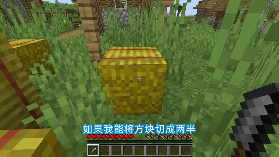 minecraft的椒盐蛋截图