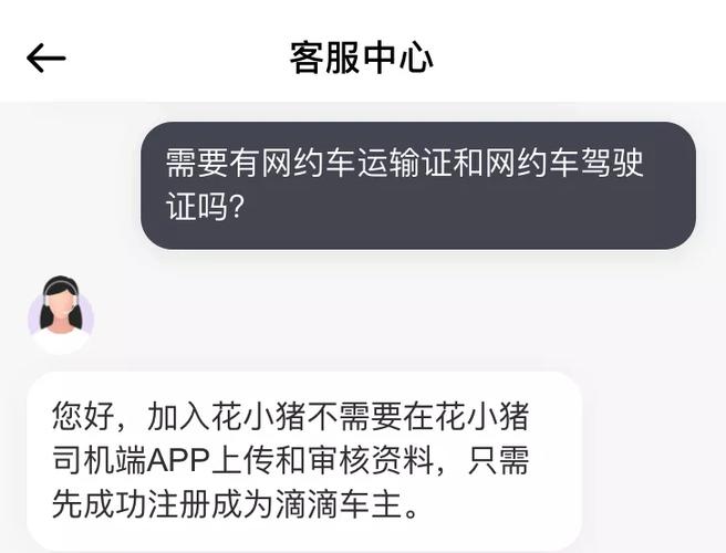 花小猪24小时人工客服缩略图