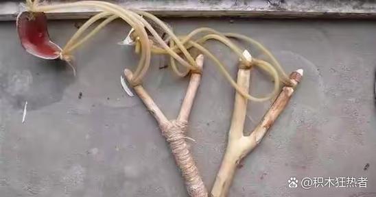 一根皮筋的弹弓缩略图