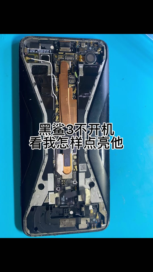黑鲨阁app官网