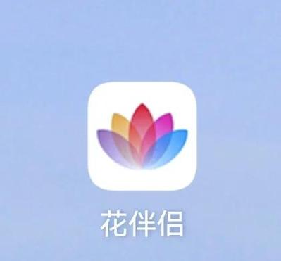 活力花借钱靠谱吗截图