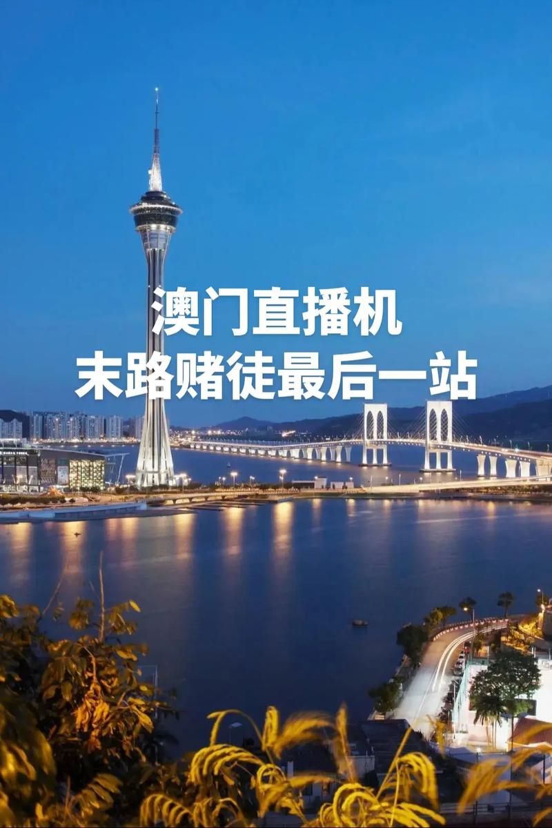 66111.com澳门直播直播怎么进