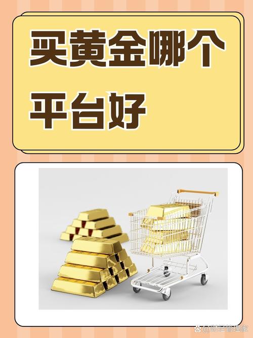 金龙赚平台截图