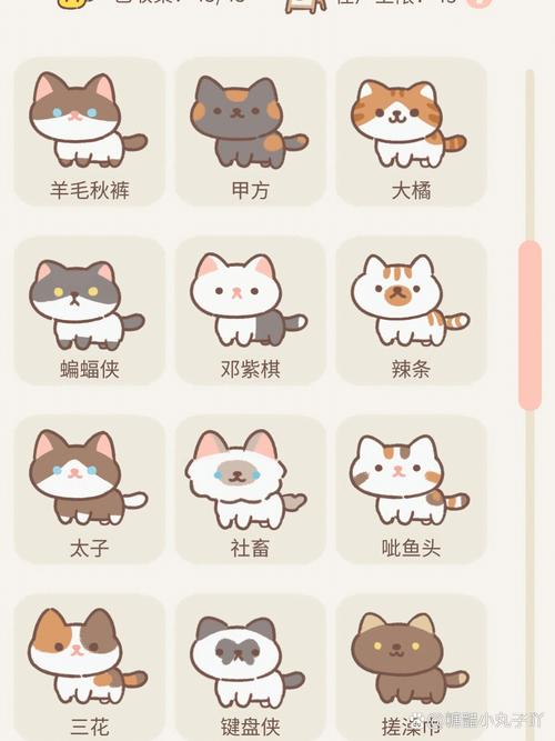 遇见你的猫正版缩略图