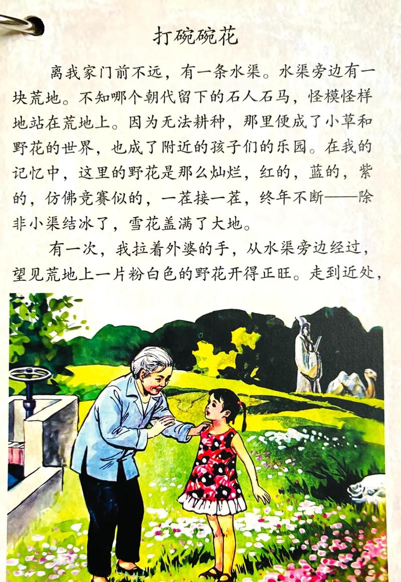 山岗上的豆花地阅读
