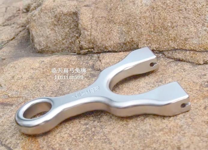 玩弹弓的人脑子正常吗截图