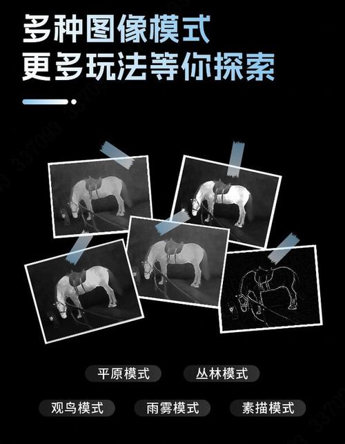 qq不让别人搜索到我