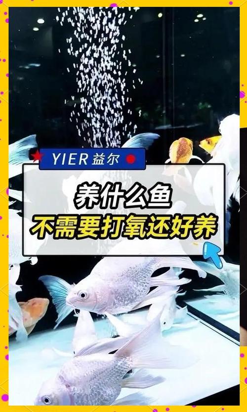 鹦鹉鱼不打氧气能坚持多久缩略图