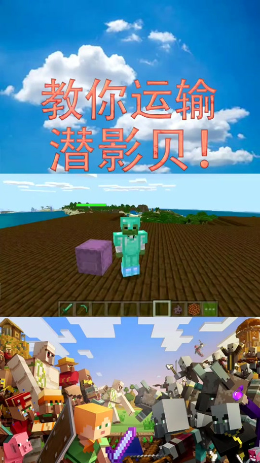 我的世界精准采集和时运哪个好截图