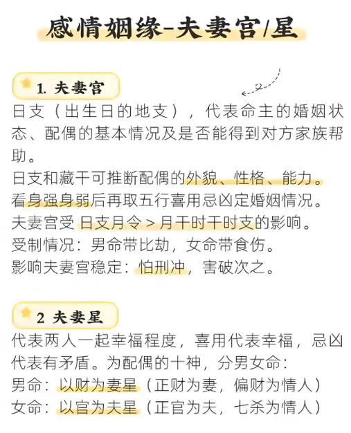 八字排盘免费查询图标