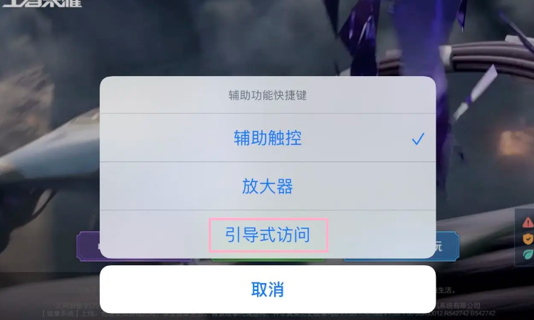 苹果11引导式访问开启不了图标