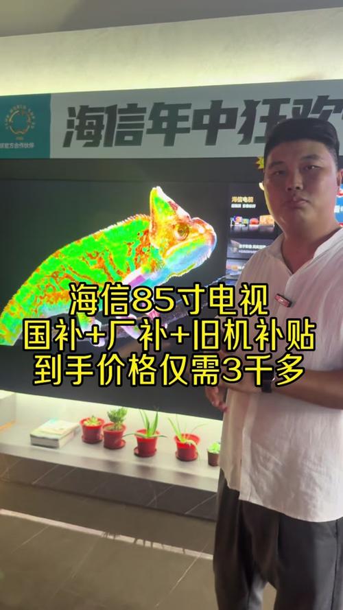 电视国补怎么领取截图
