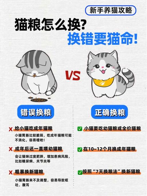猫咪大战争修改猫粮教程游戏截图