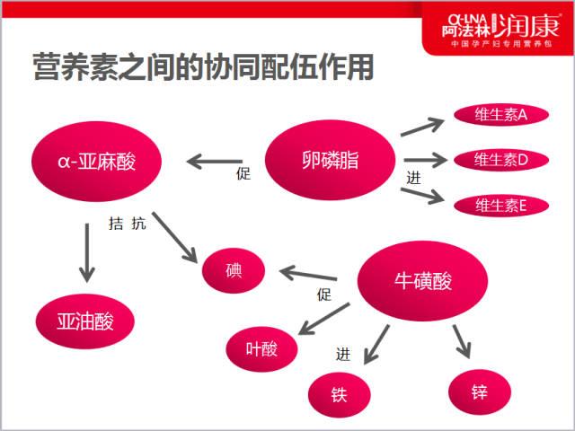 中国食物营养成分表最新版缩略图