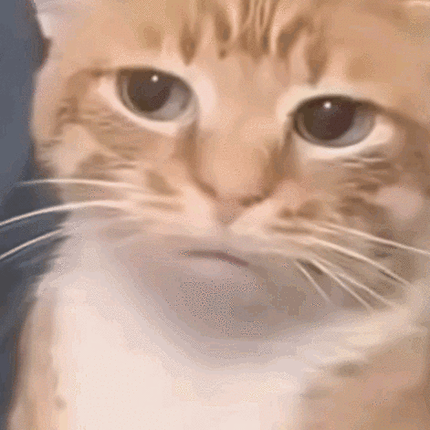 猫meme蔬菜表情包