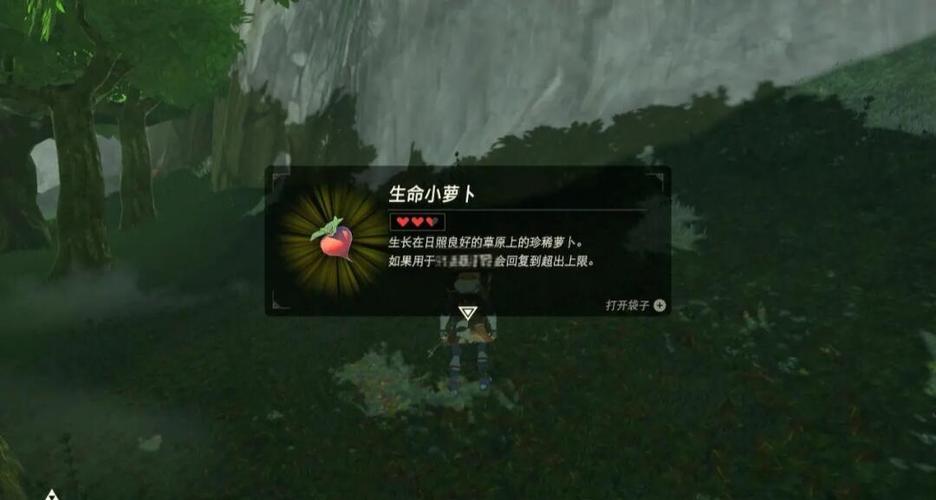 塞尔达 大精灵之泉旁边的怎么触发截图