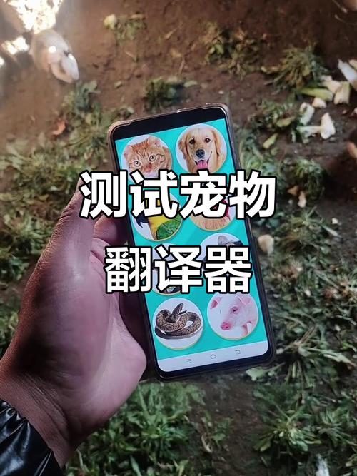 兽语翻译器在线翻缩略图