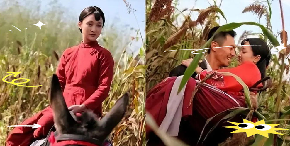 连续剧红高粱缩略图