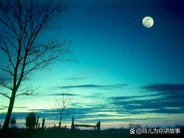 vivo手机闹钟响了屏幕不亮游戏截图