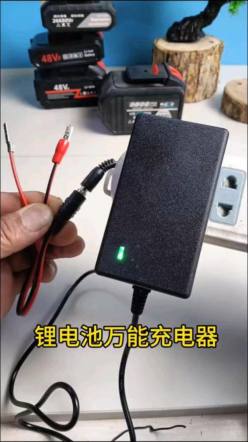 48v锂电池充不进去电怎么办