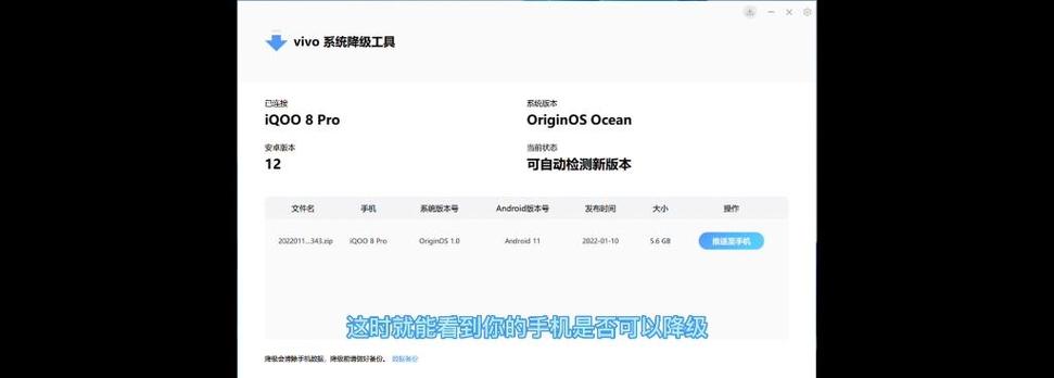 iqoo降级包下载游戏截图