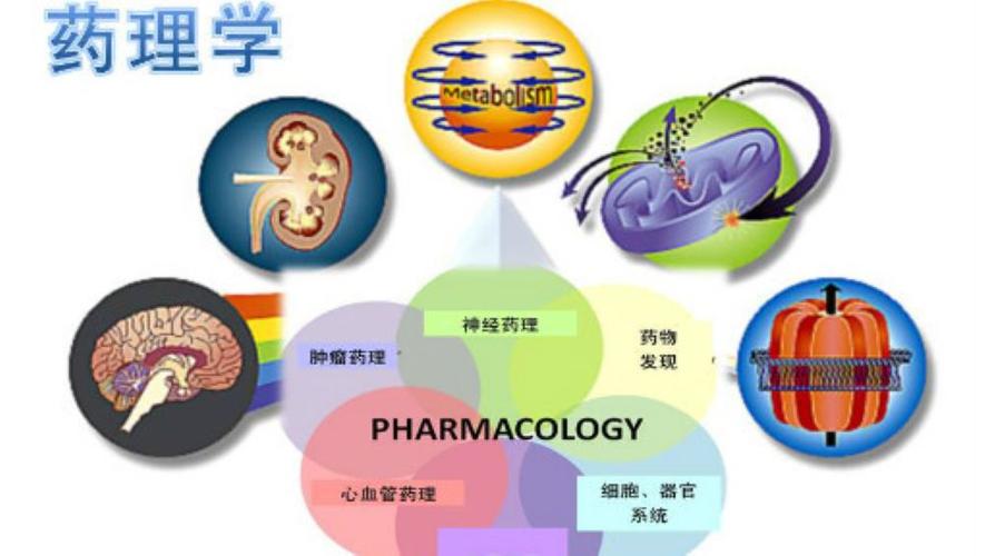 药理学考试题库