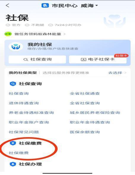 山东税务社保费缴纳小程序图标