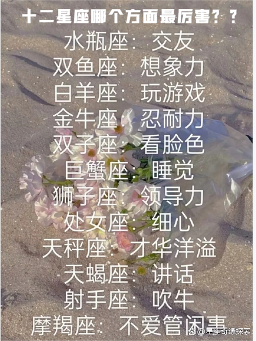 十二星座最强大的星座