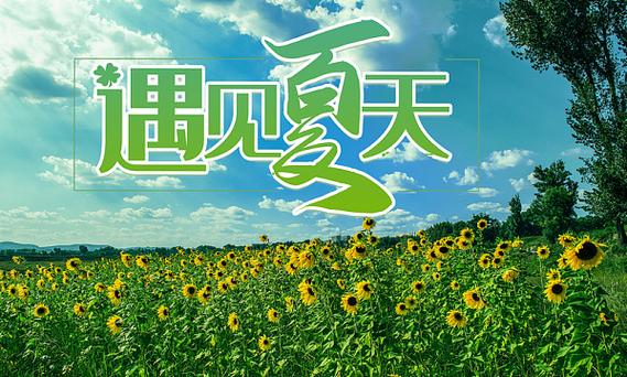 遇见夏天的唯美句子