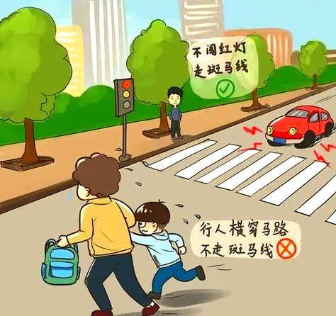 不遵守交通规则的危害游戏截图