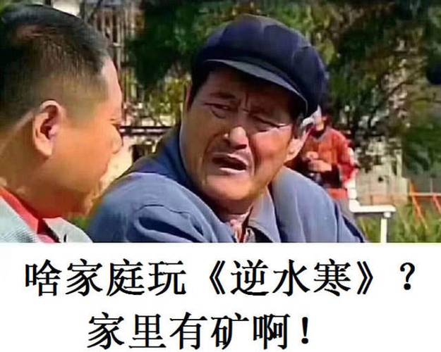 我家里有矿2图标