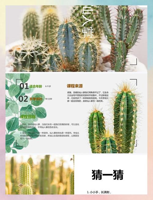 仙人掌的特点截图
