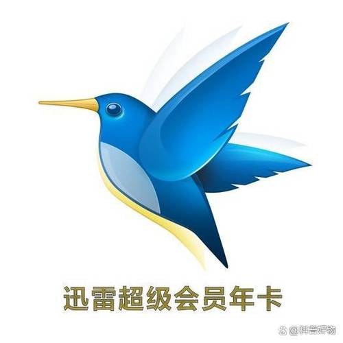迅雷快鸟和迅雷有什么区别图标