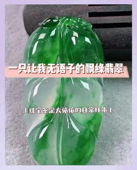翡翠在哪里买靠谱图标