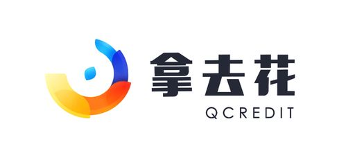 携程拿去花额度图标